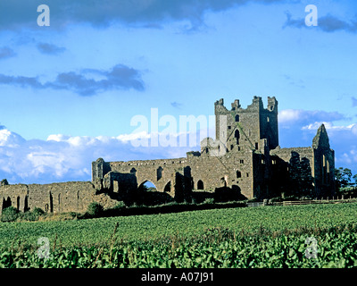 NEUE ROSS Co Wexford Republik von Irland Europa Dunbrody Abbey gegründet 1170 eines der schönsten Beispiele des Zisterzienserklosters Stockfoto