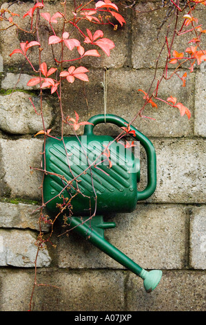 Ein einfaches Garten Bild - eine grüne Gießkanne an eine Wand hängen im Herbst (Herbst) Stockfoto