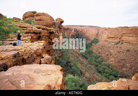 Auf halber Strecke zwischen Alice Springs und Uluru (Ayers Rock) liegt Watarrka National Park, Heimat von Kings Canyon. Stockfoto