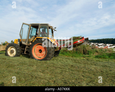 Herstellung von Silage verdichten das Gras Heu mit einem Traktor in einem Feld silo Stockfoto