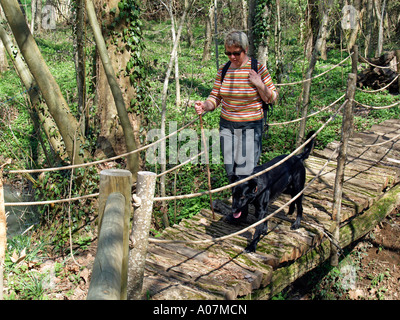 Herr PR Person Frau mit einem Hund wandern durch Wald im Frühling einen Bach überqueren eine kleine Brücke Stockfoto