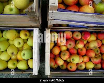 rote und gelbe grüne Äpfel in Holzkisten zum Verkauf Stockfoto