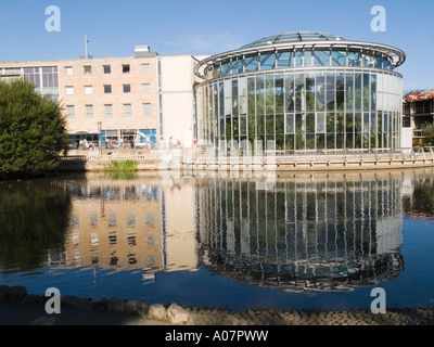 Winter Garten eine tropische Pflanze-Konservatorium im Museum in Sunderland Tyne und tragen UK Stockfoto