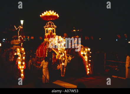 Kelaniya Sri Lanka das Festival des Zahns (Kandy Esala Perehera) mit dem zeremoniellen Stoßzähner, der die Sarg mit einer Replik des Zahnillumins trägt Stockfoto