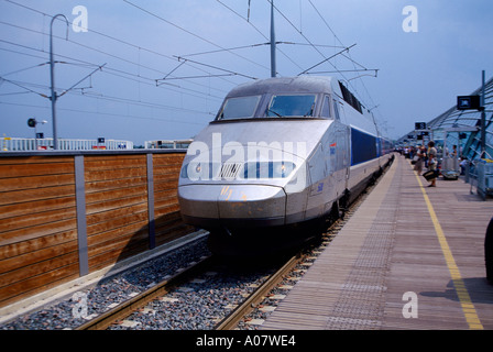 Avignon-Frankreich-TGV-Bahnhof mit dem Zug am Bahnsteig Stockfoto