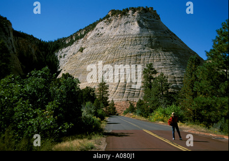 Checkerboard Mesa Zion Nationalpark Utah UT Stockfoto