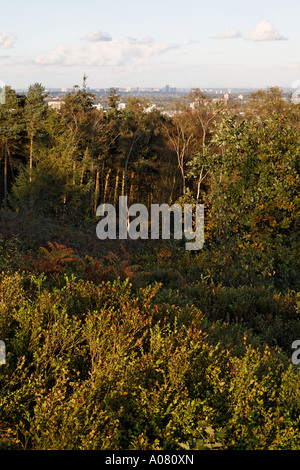 Birmingham, gesehen von der Lickey Hills Country Park West Midlands central England UK Stockfoto