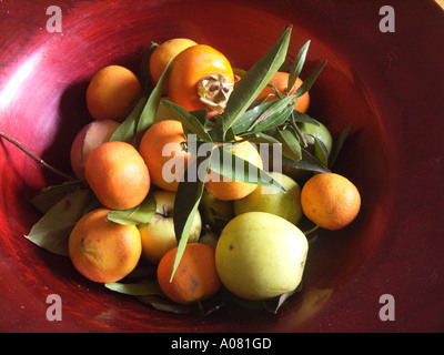 Kleinen Orangen und Äpfel mit Blättern in Schüssel Stockfoto