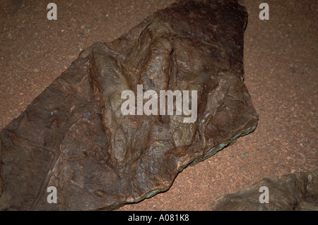 Dinosaurier Discovery negativen Eindruck verfolgt Johnson Farm St. George in Utah UT Stockfoto
