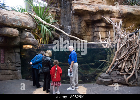 Besucher erkunden Tierplanet Australien Ausstellung National Aquarium Baltimore MD Maryland America USA Stockfoto