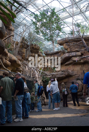 Besucher erkunden Tierplanet Australien Ausstellung National Aquarium Baltimore MD Maryland America USA Stockfoto