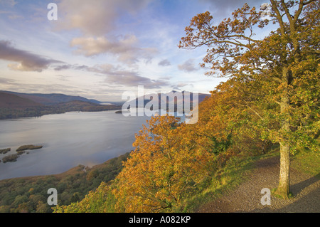 Herbstfarben im Borrowdale Blickrichtung Derwentwater und Keswick Seenplatte Cumbria Stockfoto