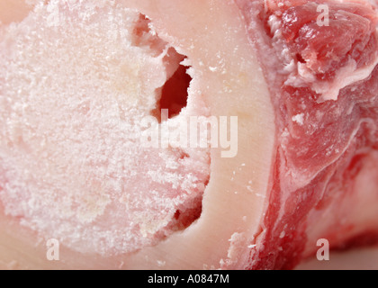 Rindfleisch Knochenmark Knochen für Lager Stockfoto