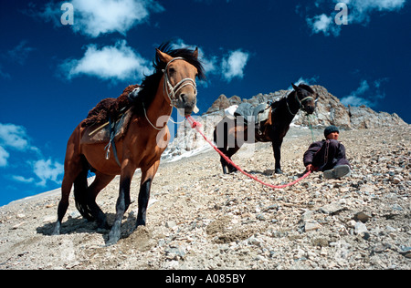 19. Juni 2006 - Bergführer und Pferde auf einem Pass in der Nähe von Tash Rabat in Kirgisistan. Stockfoto