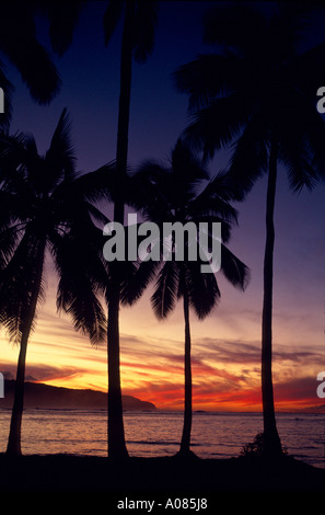 Sonnenuntergang mit Palmen in Hawaii Lahaina Maui Hawaii USA Vereinigte Staaten Stockfoto