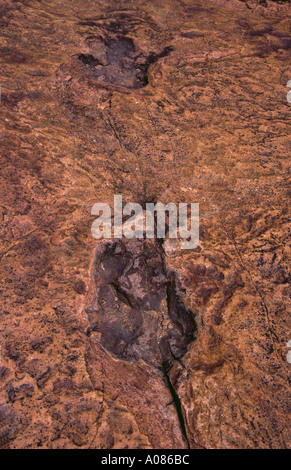 Dinosaurier-Fußabdruck in der Nähe Kalkfeld Namibia Stockfoto