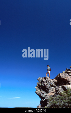 Mount Carleton New Brunswick Kanada wandern Stockfoto