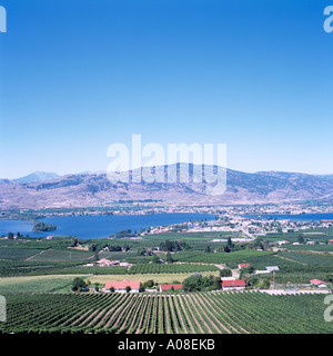 Erhöhten Blick auf Weinberge und Obstgärten in Osoyoos entlang Osoyoos Lake im Süden Okanagan Valley in British Columbia Kanada Stockfoto