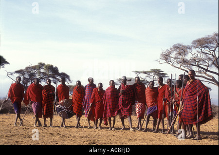 Traditionelle Maasai-Männer tanzen Amboseli Nationalpark Kenia in Ostafrika wird vorbereitet Stockfoto