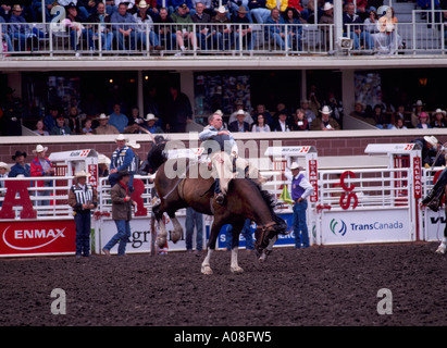 Sattel Bronc Reiten auf "Calgary Stampede" Calgary Alberta Kanada Stockfoto