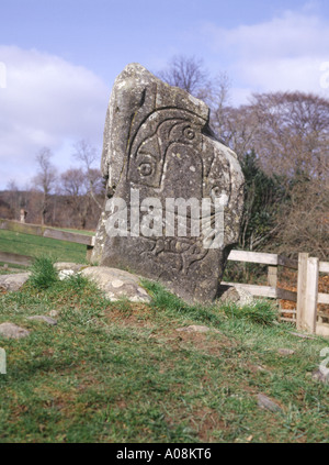 dh Eagle Stone Pictish Art STRATHPEFFER CROMARTY ROSS Rock Pikt Prähistorische schottland Skulptur großbritannien keltische Steine geschnitzte Pikte Stockfoto