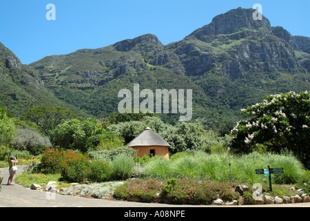 Kirstenbosch Botanical Gardens unter Table Mountain Kapstadt Südafrika RSA strohgedeckten rondavel Stockfoto