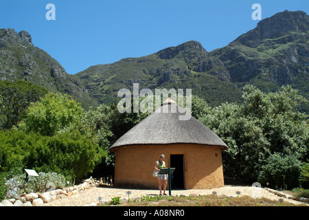 Kirstenbosch Botanical Gardens unter Table Mountain Cape Town City South Africa RSA Rondavel Reet Stockfoto