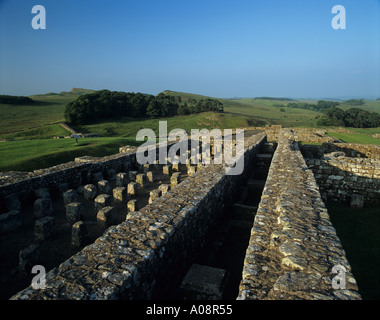 Der Hadrianswall im Housesteads römischen Fort Northumberland National Park Stockfoto
