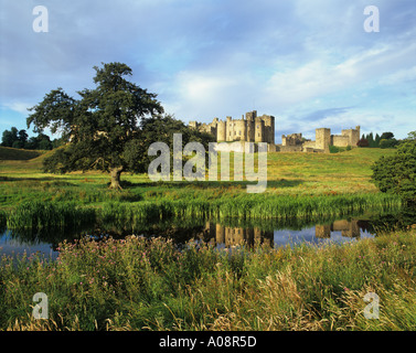 Alnwick Castle, spiegelt sich in den Fluss Aln von den Wiesen. Northumberland, England Stockfoto