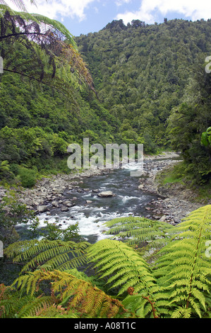 Waioeka Gorge östlichen Bay of Plenty-Neuseeland Stockfoto