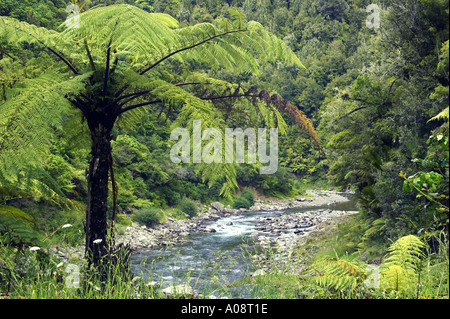 Waioeka Gorge östlichen Bay of Plenty-Neuseeland Stockfoto