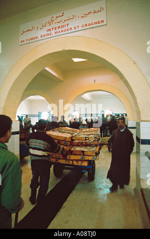 Fischmarkt im Hafen von Essaouira Marokko Stockfoto