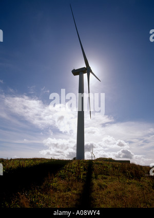 dh Wind Turbine Silhouette ELEKTRIZITÄT Großbritannien Nordex Windenergie Burgar Hill Evie Orkney Turbinen schottland erneuerbare Energien Feld Sonne großbritannien Stockfoto