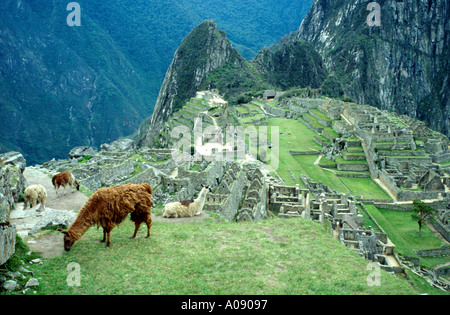 Die alten verloren Inkastadt Machu Picchu, Peru, Südamerika Stockfoto