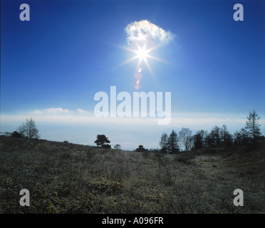 Mount Fuji Nirasaki Yamanashi-Ken Japan Stockfoto