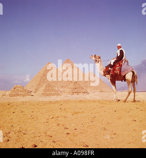 Ägypten-Kamel und Guide bei den Pyramiden-Cairo-Nordafrika Stockfoto