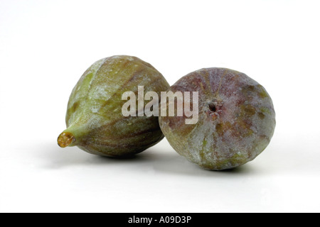 essbare Feigen, gemeinsame Feigen (Ficus Carica), Herkunft: Ostasien Stockfoto
