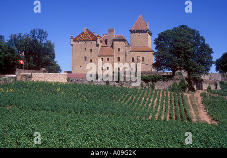 Burgund Wein erzeugenden Schlosses am Pierreclos Stockfoto