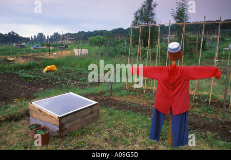 UK Vogelscheuche South London Urban Green Space Kleinod 2000er Jahre WEngland HOMER SYKES Stockfoto