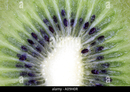 Kiwifrucht, Chinesische Stachelbeere (Schnitt Deliciosa), Frucht im Querschnitt mit Samen Stockfoto