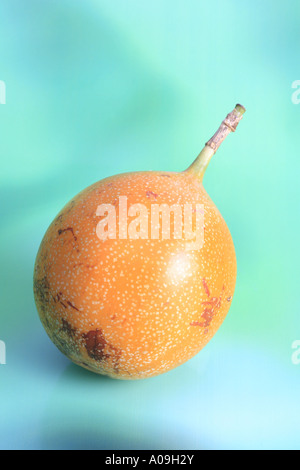 süße Granadilla (Passiflora Ligularis), Obst Stockfoto
