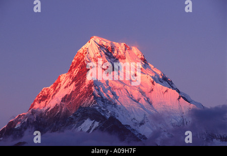 Abendlicht am Annapurna South, Nepal Stockfoto