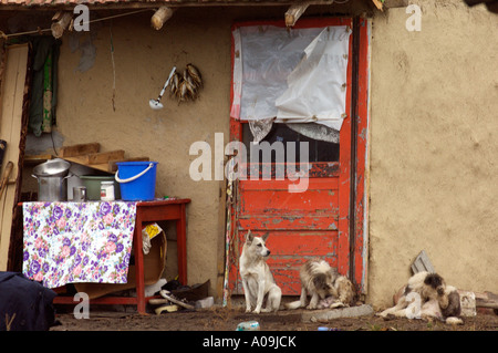 Romani Gipsy Gemeinschaft Dorf im Bezirk Spantov, Südosten Rumäniens. Stockfoto