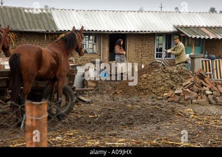 Romani Gipsy Gemeinschaft Dorf im Bezirk Spantov, Südosten Rumäniens. Stockfoto