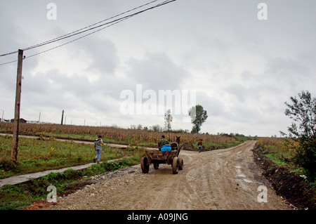 Romani Gipsy Gemeinschaft Dorf im Bezirk Spantov, Südosten Rumäniens. Stockfoto