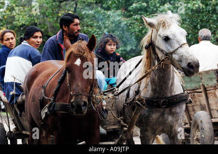 Romani Gipsy Gemeinschaft Dorf im Bezirk Spantov, Südosten Rumäniens. Stockfoto