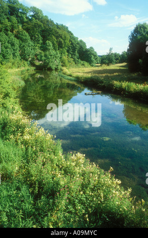 Fluß Lathkill in der Nähe von Youlgreave in Derbyshire Dales Stockfoto