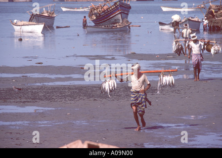 Saudi Arabien, Asir-Provinz. Hafen Stadt Yanbo. Fischer ihren Fang bringen Stockfoto