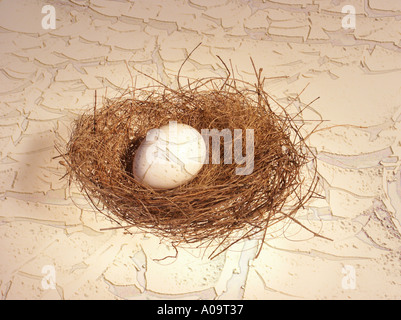 Gebrochene Ei im nest Stockfoto