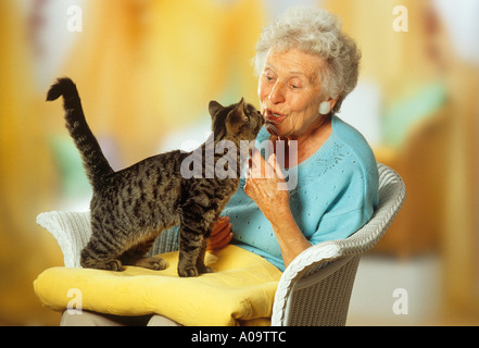 Alte Dame mit Katze mit einer Katze, stehend auf dem Schoß Stockfoto
